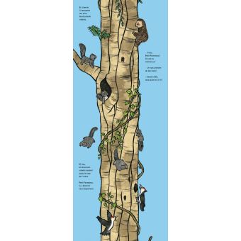 L'ascenseur de petit paresseux