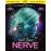 Nerve_1