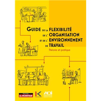 Guide de la flexibilité, de l'organisation et de l'environnement du travail