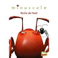 Bûche de Noël
