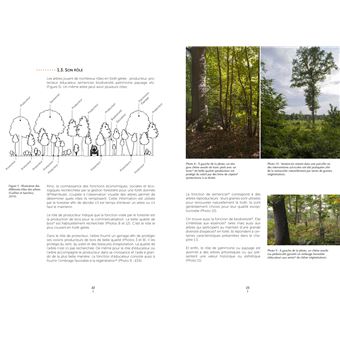 Un autre regard sur la foret