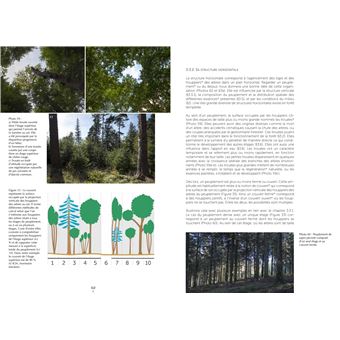 Un autre regard sur la foret