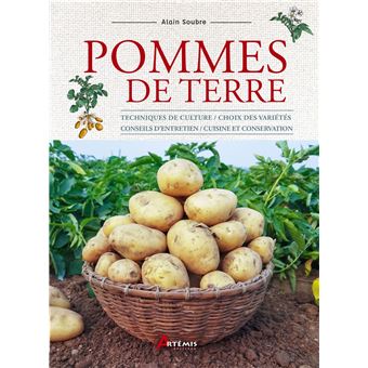 Pommes de terre