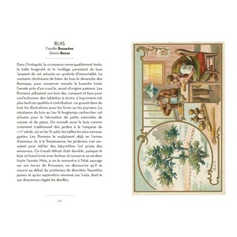 Le Petit Livre des Arbres + Cartes Postales