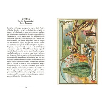 Le Petit Livre des Arbres + Cartes Postales