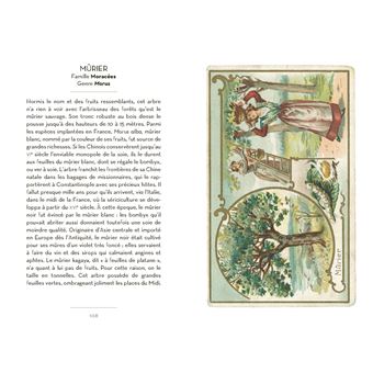 Le Petit Livre des Arbres + Cartes Postales