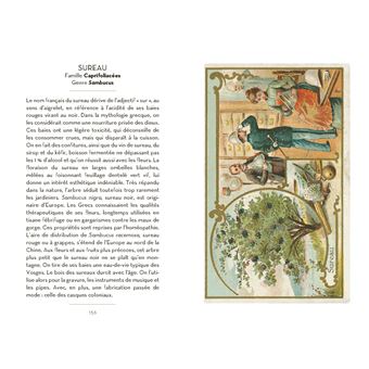 Le Petit Livre des Arbres + Cartes Postales