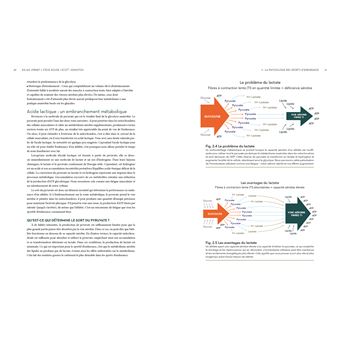 Up ! Manuel d'entraînement pour le trail et le ski-alpinisme