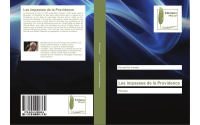 Les impasses de la providence - roman
