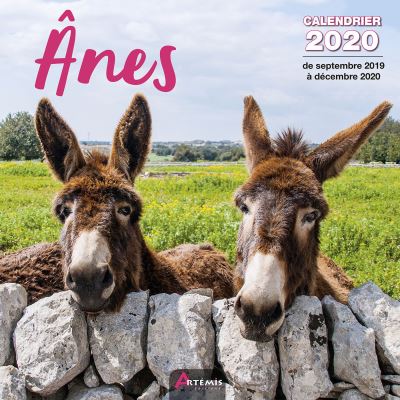 Anes calendrier 2020