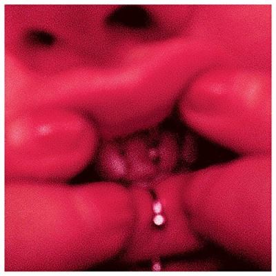 Guilty Species Inclus coupon MP3