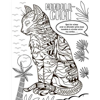 Mon cahier de vacances spécial chat - tome 4