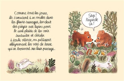 La toute petite maison - cartonné - Michaël Escoffier, Clotilde Perrin -  Achat Livre