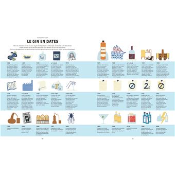 Le Gin C'est pas sorcier