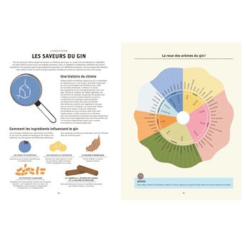 Le Gin C'est pas sorcier