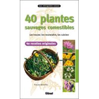 40 plantes sauvages comestibles