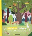 Histoires nature de la Petite Salamandre