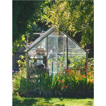 Cultiver en serre pour récolter toute l année