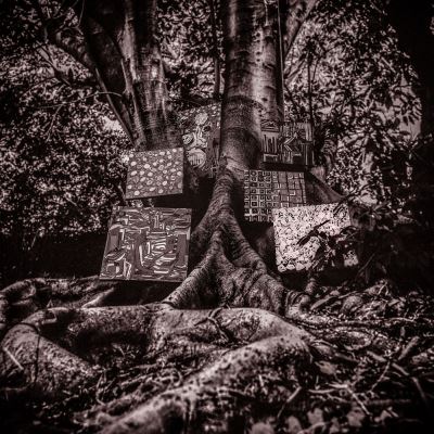 HARMONY OF DIFFERENCE/LP
