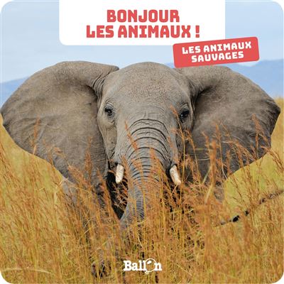 Bonjour les animaux : Les animaux sauvages
