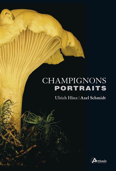 Champignons portraits
