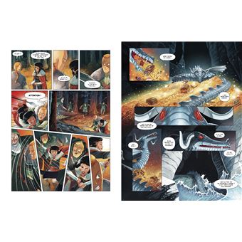 Harald et le Trésor d'Ignir