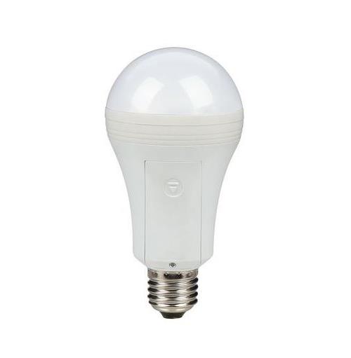Ampoule LED Sengled Everbright avec batterie de secours - Équipements  électriques pour luminaire - Achat & prix