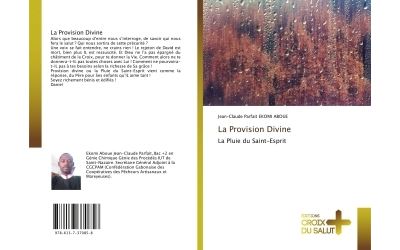La Provision Divine - Jean-Claude Parfait - broché