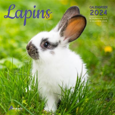Calendrier 2024 avec des lapins mignons à imprimer