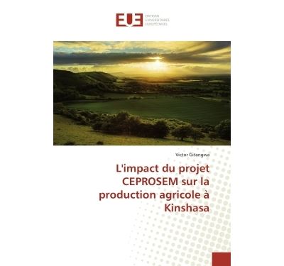 L'impact du projet ceprosem sur la production agricole a kin