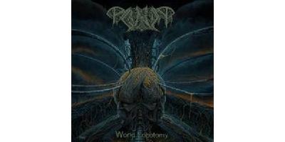 World lobotomy