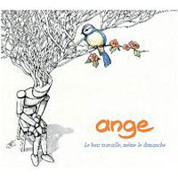 Le bois travaille même le dimanche