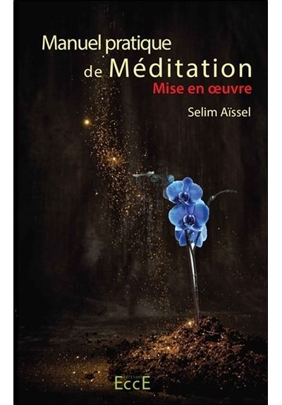 Manuel pratique de meditation mise en oeuvre
