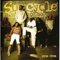 The instrumentals project