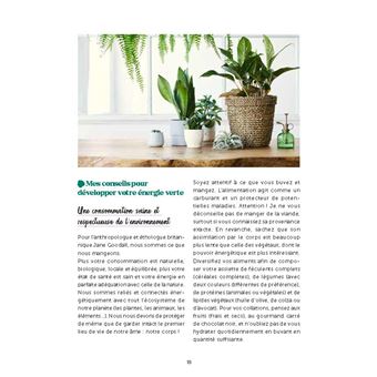 De belles plantes grâce au magnétisme