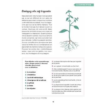 De belles plantes grâce au magnétisme