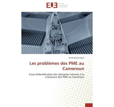 Les problemes des pme au cameroun