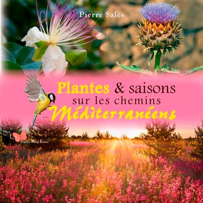 Plantes et saisons sur les chemins mediterraneens
