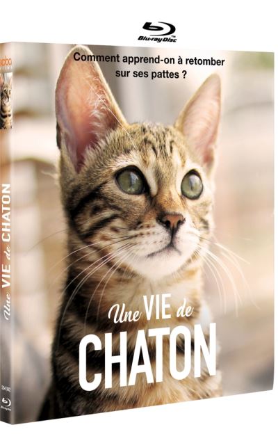 Une vie de chaton Blu-ray