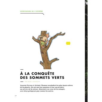 Tintin - C'est l'aventure 13