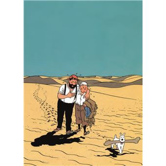 Tintin - C'est l'aventure 13