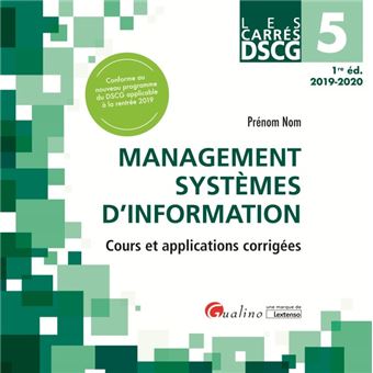 Dscg 5 - management systemes d information