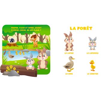 DISNEY BABY - Mes Premiers Imagiers - Les Animaux et leurs petits