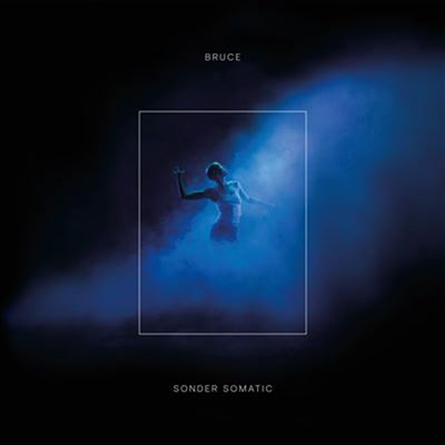 SONDER SOMATIC/2LP