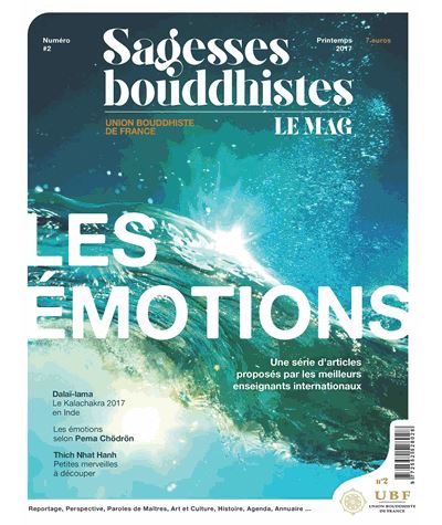 Sagesses bouddhistes : Les émotions