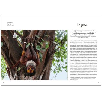 Trésors du patrimoine immatériel de l'UNESCO