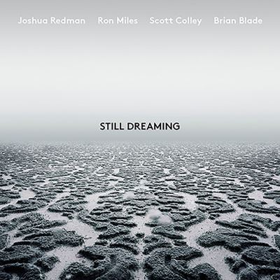 STILL DREAMING
