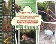 O'Loty t'invite dans la forêt magique Boreea O'Loty te invita al bosque mágico de Boreea