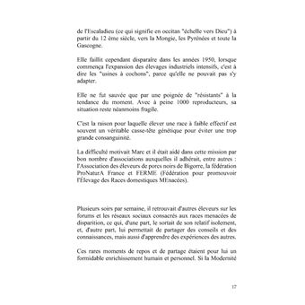 U.V.S. : une vie simple