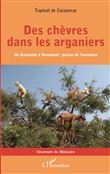 Des chèvres dans les arganiers